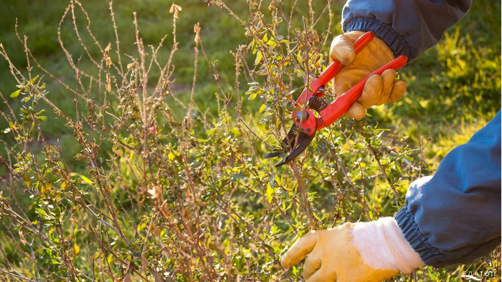 [Дмитрий Звонка, Андрей Дарусенков] 6 МК по арбори_0.png